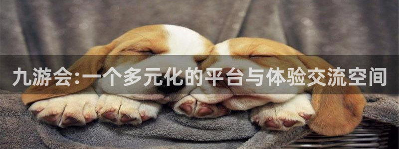 赢咖代理注册官网入口：九游会:一个多元化的平台与体验交流空间
