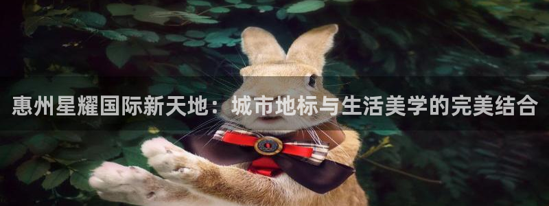 赢咖3代理：惠州星耀国际新天地：城市地标与生活美学的完美结合