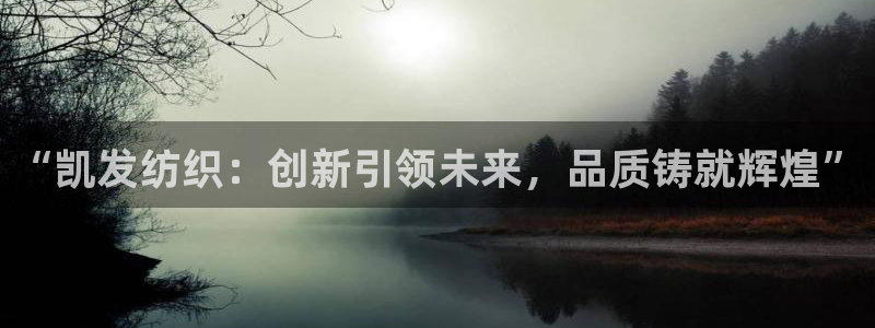 赢咖主管：“凯发纺织：创新引领未来，品质铸就辉煌”