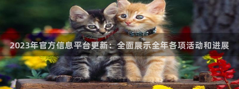 赢咖体育免费注册入口：2023年官方信息平台更新：全面展示全年各项活动和进展