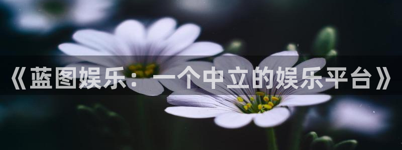 赢咖3登录：《蓝图娱乐：一个中立的娱乐平台》