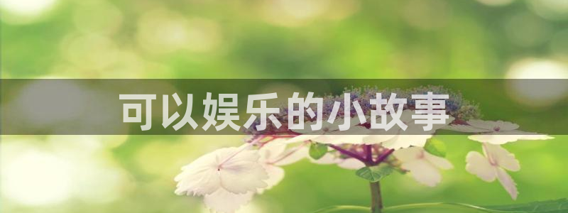 赢咖体育平台总代理：可以娱乐的小故事