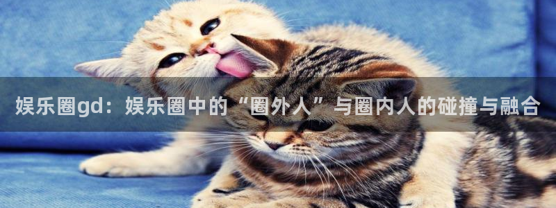 赢咖平台开户链接：娱乐圈gd：娱乐圈中的“圈外人”与圈内人的碰撞与融合