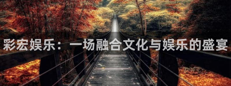 赢咖2代理注册：彩宏娱乐：一场融合文化与娱乐的盛宴