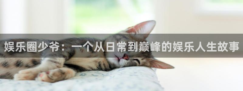 赢咖主管：娱乐圈少爷：一个从日常到巅峰的娱乐人生故事