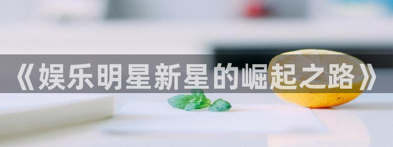 赢咖2登录地址：《娱乐明星新星的崛起之路》