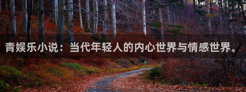 赢咖体育eon：青娱乐小说：当代年轻人的内心世界与情感世界。