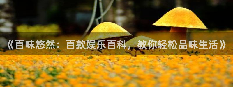 赢咖体育凯捷登陆：《百味悠然：百款娱乐百科，教你轻松品味生活》