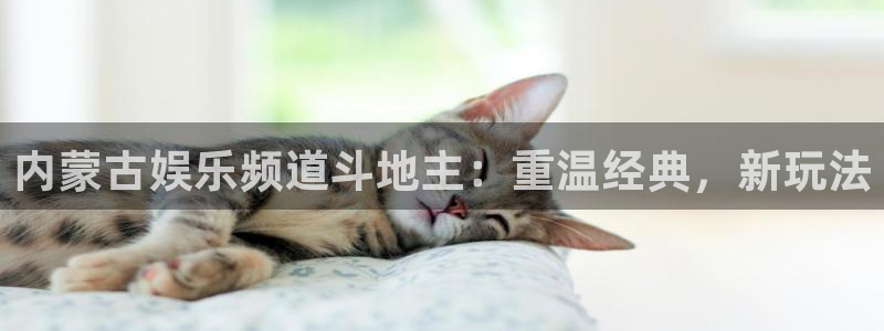 赢咖体育2官网入口：内蒙古娱乐频道斗地主：重温经典，新玩法