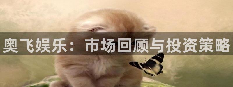 赢咖4平台：奥飞娱乐：市场回顾与投资策略