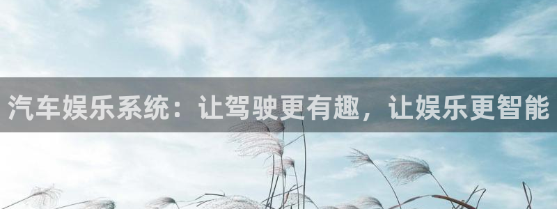 赢咖体育在线注册：汽车娱乐系统：让驾驶更有趣，让娱乐更智能