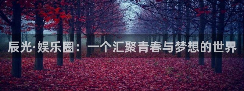 赢咖登录注册：辰光·娱乐圈：一个汇聚青春与梦想的世界