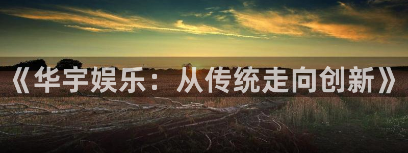 赢咖平台官网：《华宇娱乐：从传统走向创新》