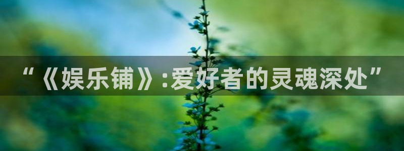赢咖代理注册官网入口：“《娱乐铺》:爱好者的灵魂深处”