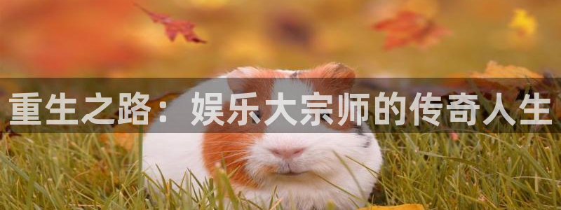 赢咖4平台：重生之路：娱乐大宗师的传奇人生