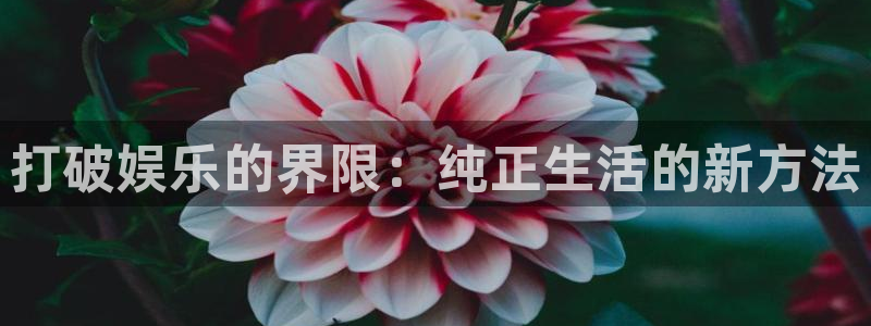 赢咖体育平台总代理：打破娱乐的界限：纯正生活的新方法