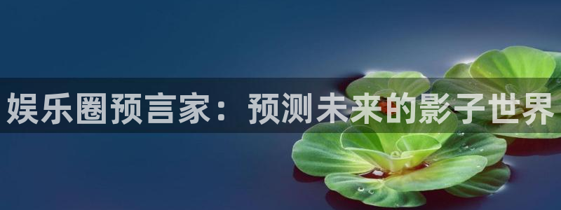 赢咖3：娱乐圈预言家：预测未来的影子世界
