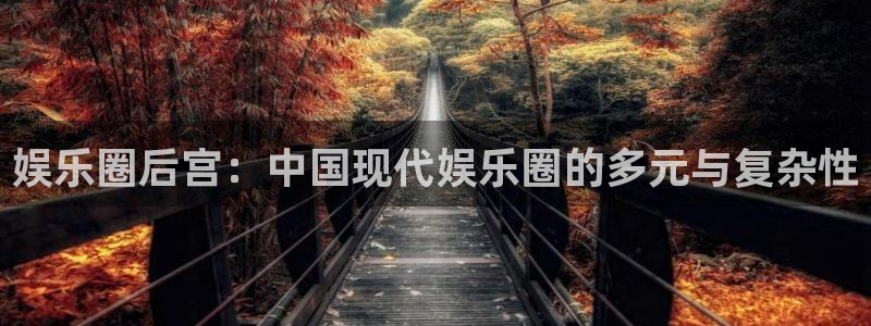 赢咖2平台登录：娱乐圈后宫：中国现代娱乐圈的多元与复杂性