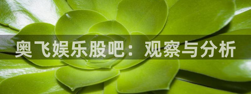 赢咖2代理注册：奥飞娱乐股吧：观察与分析