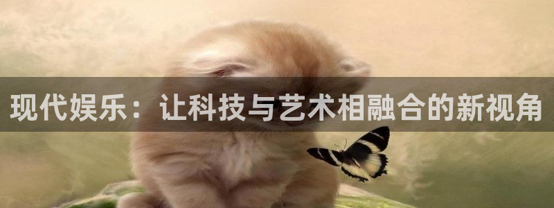 德国赢咖集团