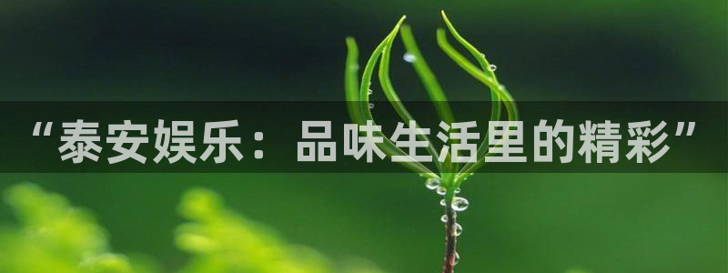 www.赢咖体育.com：“泰安娱乐：品味生活里的精彩”