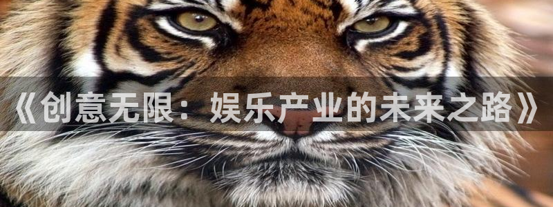 赢咖平台：《创意无限：娱乐产业的未来之路》