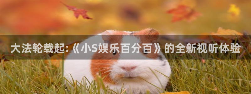赢咖平台在线开户：大法轮载起:《小S娱乐百分百》的全新视听体验