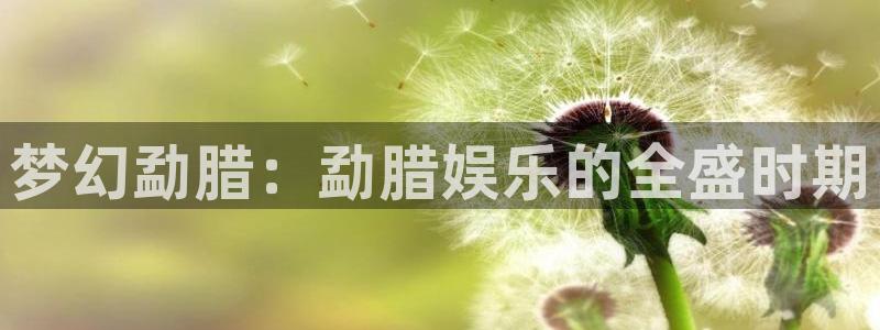 赢咖代理：梦幻勐腊：勐腊娱乐的全盛时期