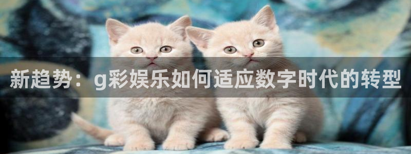 赢咖f平台注册：新趋势：g彩娱乐如何适应数字时代的转型