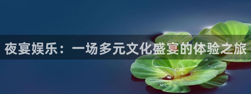 赢咖体育3在线注册：夜宴娱乐：一场多元文化盛宴的体验之旅