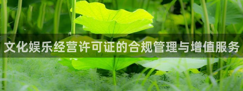 赢咖平台