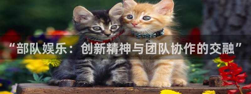 赢咖体育娱乐注册链接：“部队娱乐：创新精神与团队协作的交融”