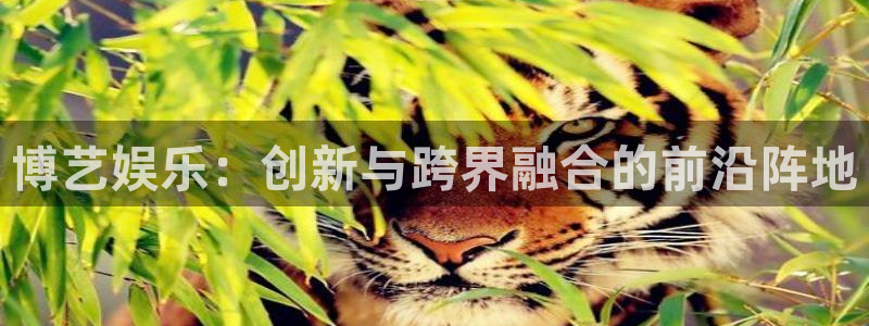 赢咖3注册：博艺娱乐：创新与跨界融合的前沿阵地