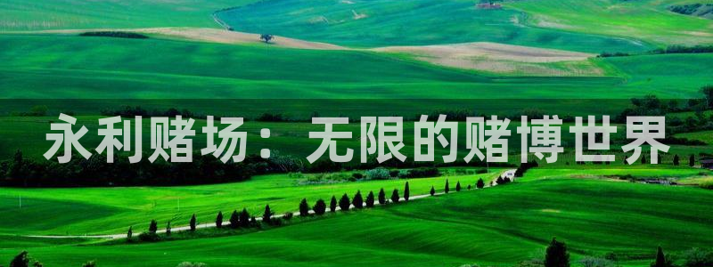 赢咖体育f开号：永利赌场：无限的赌博世界