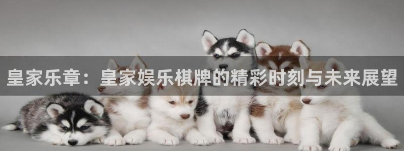 赢咖登录注册：皇家乐章：皇家娱乐棋牌的精彩时刻与未来展望
