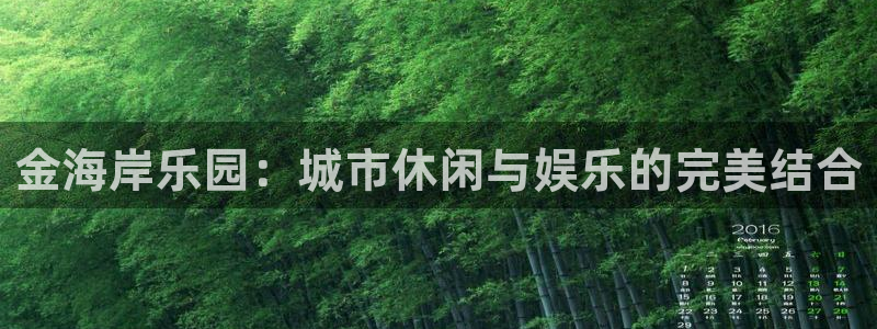 赢咖体育4：金海岸乐园：城市休闲与娱乐的完美结合
