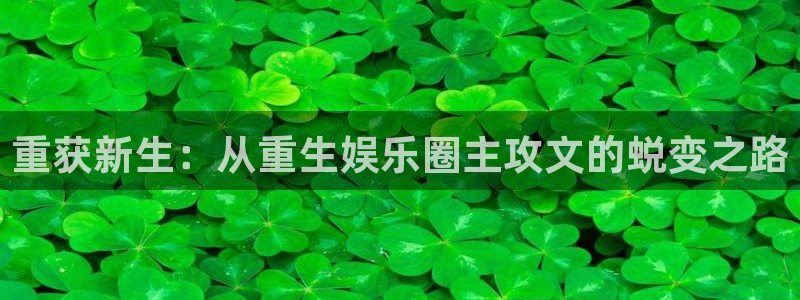 赢咖平台在线注册：重获新生：从重生娱乐圈主攻文的蜕变之路