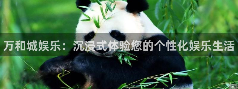 佛山市南海赢咖机电仪器有限公司：万和城娱乐：沉浸式体验您的个性化娱乐生活