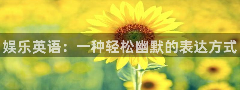 赢咖体育凯捷平台招商：娱乐英语：一种轻松幽默的表达方式