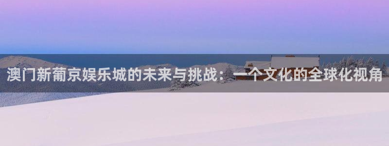 赢咖3平台登录注册：澳门新葡京娱乐城的未来与挑战：一个文化的全球化视角