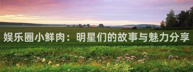 赢咖平台：娱乐圈小鲜肉：明星们的故事与魅力分享