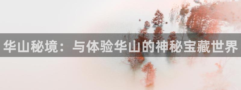 赢咖包怎么样：华山秘境：与体验华山的神秘宝藏世界