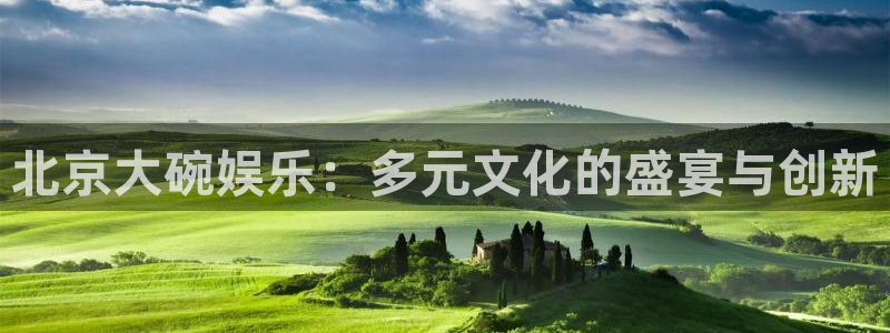赢咖体育和杏耀是哪个公司的：北京大碗娱乐：多元文化的盛宴与创新