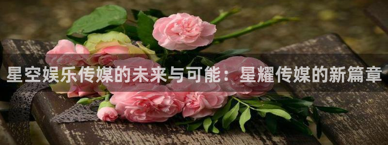 赢咖体育官网注册：星空娱乐传媒的未来与可能：星耀传媒的新篇章